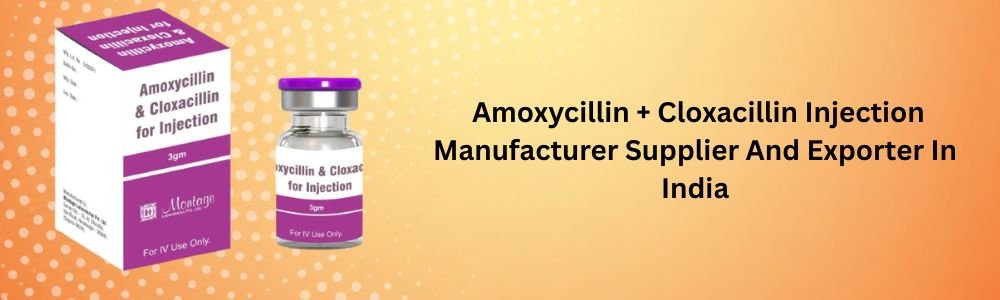 Amoxycillin + Cloxacillin Injection