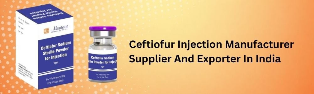 Ceftiofur Injection