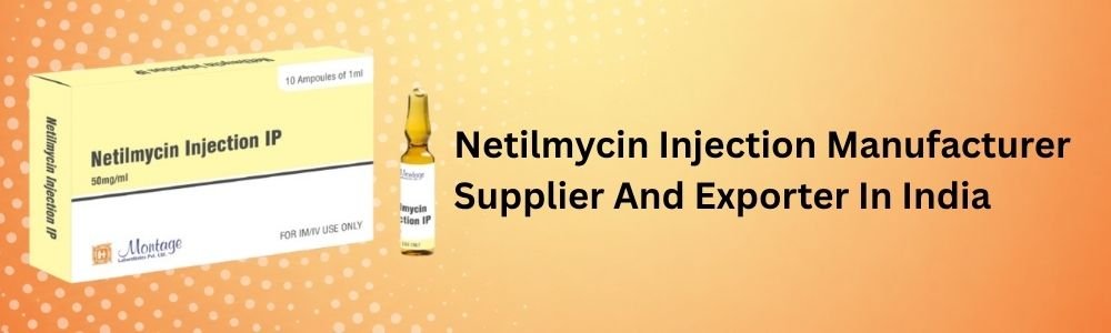 Netilmycin Injection