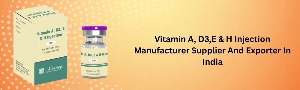 Vitamin A, D3,E & H Injection